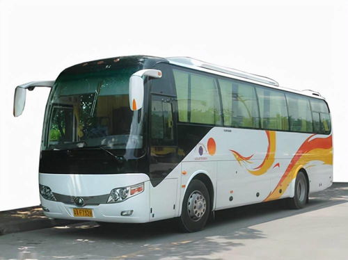 國(guó)慶租車(chē)首選泰州中航租車(chē)，專(zhuān)業(yè)服務(wù)助力便捷出行