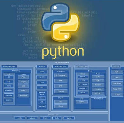 天生量化將才？理工科程序員在量化投資中的優劣勢分析